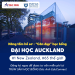 Nâng tầm hồ sơ – “Cân đẹp” học bổng Đại học Auckland #1 New Zealand