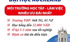 Đại học Auckland – cầu nối tiếp cận môi trường học tập, việc làm nhiều ưu đãi nhất New Zealand